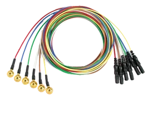 Electrodos de copa de EEG estampados reutilizables Grass®️